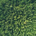 john o nolan umwprcrsrto unsplash